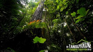 Mount Tambuyukon Expedition  